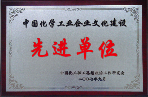 中国化学工业MK平台建设先进单位